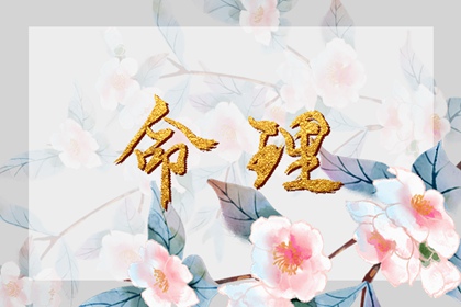 阴历日历_日历老黄历_全民农历日历